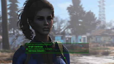 Aesthetic Presets for Player (LooksMenu) at Fallout 4 Nexus - Mods and ...