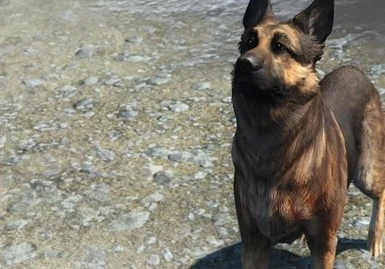 Remove Dogmeat's Whining Audio