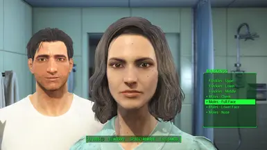 Caelan and Roy - Two characters face presets at Fallout 4 Nexus