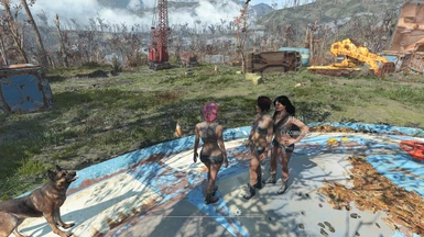 fallout 4 mods disabled