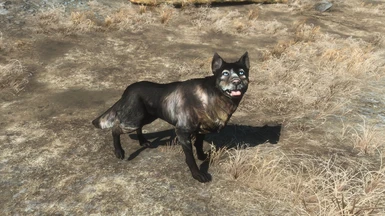 Dogmeat's Many Faces New Vegas Canine Edition