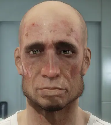 10 redneck presets at Fallout 4 Nexus - Mods and community