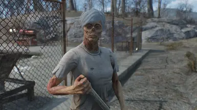 fallout 4 ghoul replacer