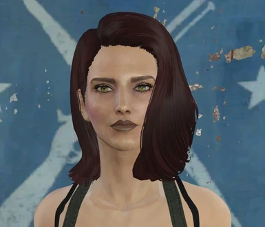 DrOblivion's 100(ish) LooksMenu female presets at Fallout 4 Nexus ...