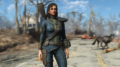 Fallout 4 - Vault 201 - Full collection, pt4. Mod by Mfree80286