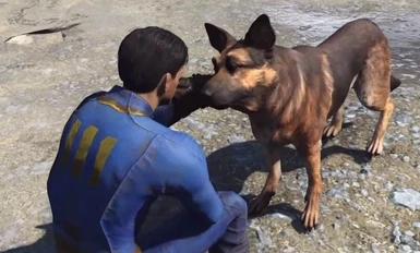 Dogmeat Damage Resistance - Attack Dog Rank 1 Replacer
