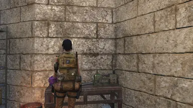 Multicam
