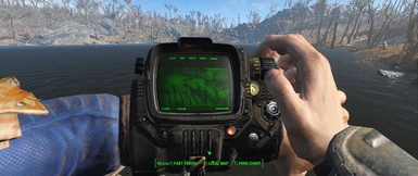 Pipboy DOF disabled