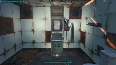 looks mirror fallout 4