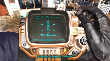 Gold Pipboy