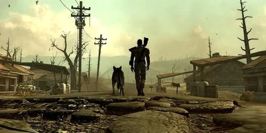lone wanderer fallout gamepedia