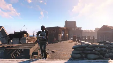 Small Friendly Wastelander Camp