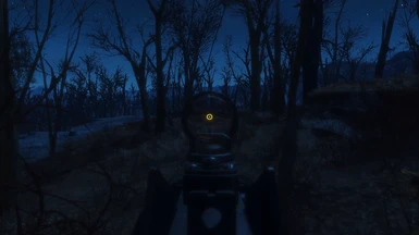Amber reticle at night