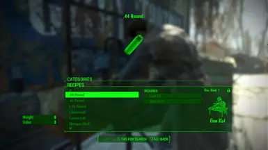 fallout new vegas ammo and condition checking