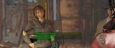 With Fallout4Toon ENB