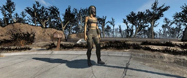 AnimeRace FalloutSama at Fallout 4 Nexus - Mods and community