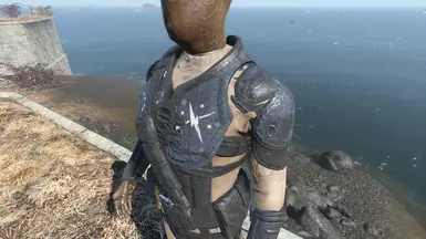 Real Leather HD - Armor and Clothing at Fallout 4 Nexus - Mods and