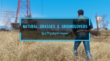 Natural Grasses and Groundcovers