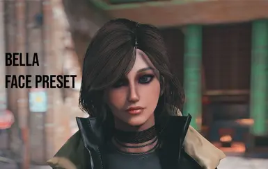 fallout 4 hot female presets