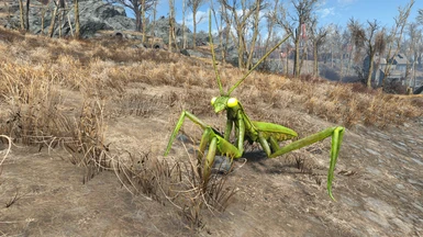 Mojave Mantises - More Attackers - Get Off My Buildzone Patch