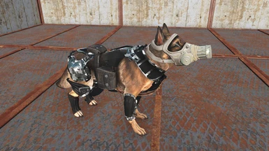 Dog Combat Armor
