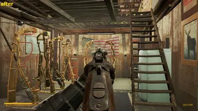Shotgun after