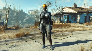 Chinese Stealth Armor for Atomic Beauty (Creation Club) at Fallout 4 Nexus  - Mods and community
