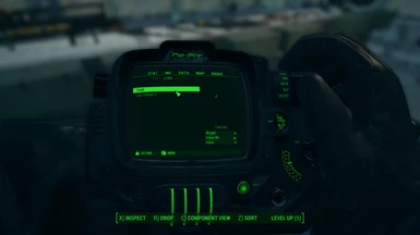 Fallout4 2015 12 07 18 42 57