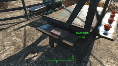 The book that gives you the perk for making skooma