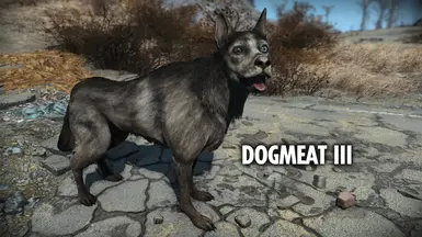 dogmeat location fallout 3 dogmeat location fallout 3