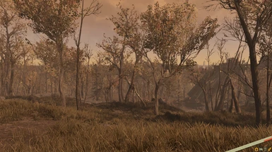 polluted climate enb