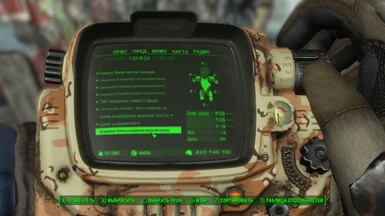 Example of translate in pip-boy menu the firearms mods 1