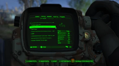 Example of translate in pip-boy menu the firearms mods 4