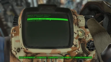Example of translate in pip-boy menu the firearms mods 2