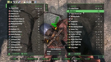 Fallout 4 VR · Issue #288 · Nexus-Mods/Nexus-Mod-Manager · GitHub