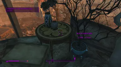 N.I.R.A's holotape where it should be!
