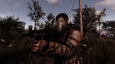 fallout 4 stalker music mod