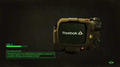Your Pipboy could look like this!