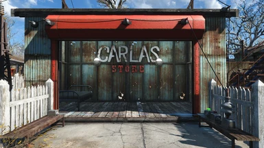 Carla's (idle spot) Store