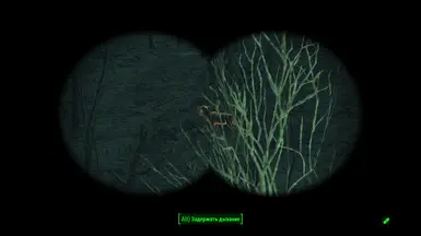 Standard binocular's overlay