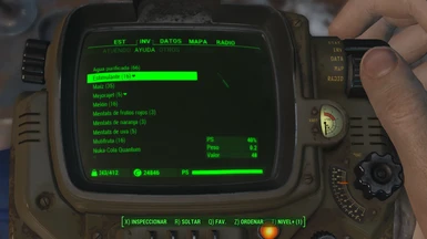 Fallout 4 Ssbbw Mod