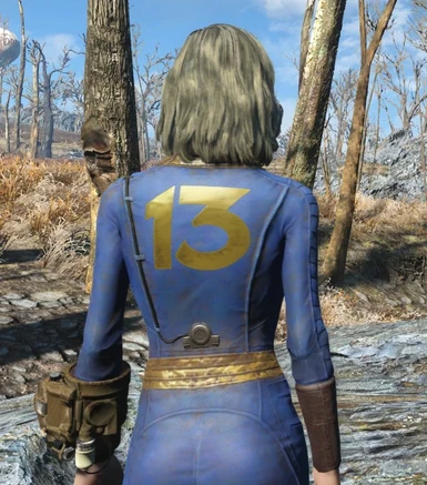 Vault 13 Vaultsuit at Fallout 4 Nexus - Mods and community