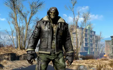 Wasteland Aviator Outfit at Fallout 4 Nexus - Mods and community