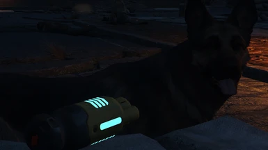 Dogmeat Approved