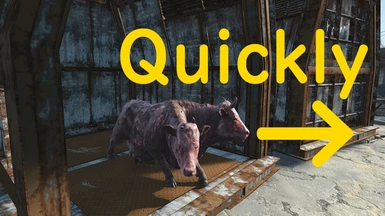 kig ind garn værst Cage captures quickly and auto-repair at Fallout 4 Nexus - Mods and  community
