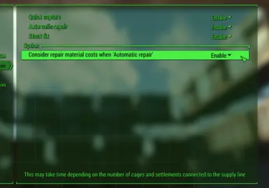 v2.1 optional