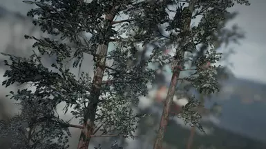 Pine Forest Redone - Simp-le Winter Retexture - DELETED