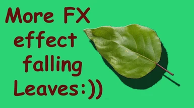 More Effects Leaves FX ENG