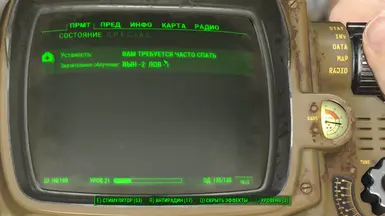 Classic Radiation Poisoning 2 RU Translation at Fallout 4 Nexus - Mods ...