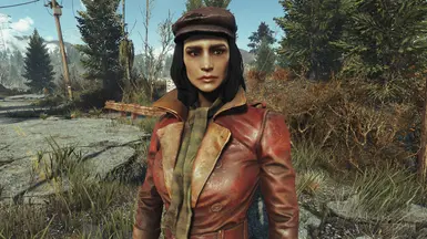 fallout 4 companion face mod